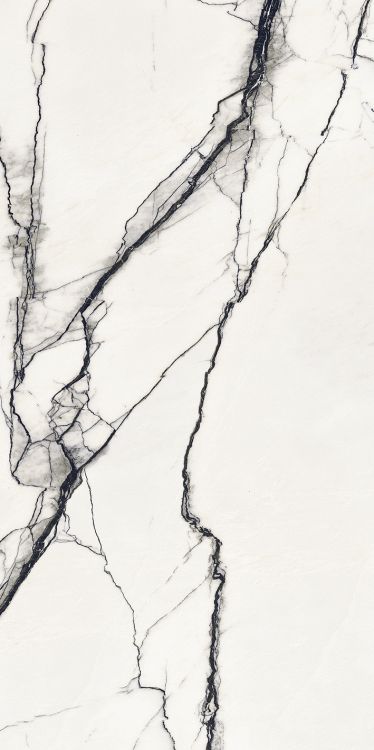 B&W Breach Naturale 24 x 48